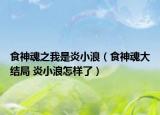 食神魂之我是炎小浪（食神魂大结局 炎小浪怎样了）