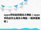 oppo手机如何用北斗导航（oppo手机该怎么用北斗导航 一起来看看吧）