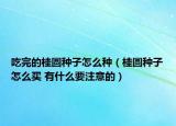 吃完的桂圆种子怎么种（桂圆种子怎么买 有什么要注意的）