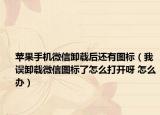 苹果手机微信卸载后还有图标（我误卸载微信图标了怎么打开呀 怎么办）