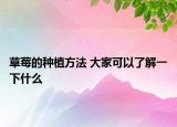 草莓的种植方法 大家可以了解一下什么