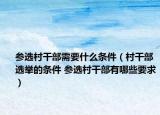 参选村干部需要什么条件（村干部选举的条件 参选村干部有哪些要求）