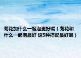 菊花加什么一起泡更好喝（菊花和什么一起泡最好 这5种搭配最好喝）