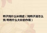 鸭子炖什么补阴虚（钝鸭子汤怎么炖 鸭有什么大补的作用）