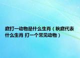 庭打一动物是什么生肖（秋庭代表什么生肖 打一个常见动物）