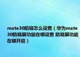 mate30防窥怎么设置（华为mate30防窥屏功能在哪设置 防窥屏功能在哪开启）