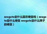 seagate是什么固态硬盘吗（seagate是什么硬盘 seagate是什么牌子的硬盘）