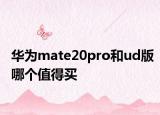 华为mate20pro和ud版哪个值得买