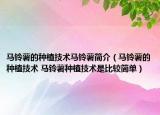 马铃薯的种植技术马铃薯简介（马铃薯的种植技术 马铃薯种植技术是比较简单）