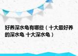 好养深水龟有哪些（十大最好养的深水龟 十大深水龟）