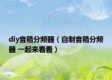 diy音箱分频器（自制音箱分频器 一起来看看）