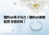 猎豹q6多少马力（猎豹q6参数配置 你喜欢吗）