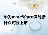 华为mate30pro保时捷什么时候上市