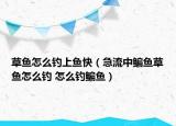 草鱼怎么钓上鱼快（急流中鳊鱼草鱼怎么钓 怎么钓鳊鱼）