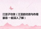 江豆子功效（江豆的功效与作用禁忌 一起深入了解）