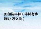 如何洗牛肺（牛肺有水咋办 怎么洗）
