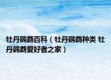 牡丹鹦鹉百科（牡丹鹦鹉种类 牡丹鹦鹉爱好者之家）