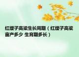 红缨子高粱生长周期（红缨子高粱亩产多少 生育期多长）