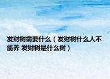 发财树需要什么（发财树什么人不能养 发财树是什么树）