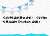 松树籽生吃有什么好处?（松树籽的作用与功效 松树籽能生吃吗）
