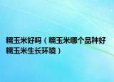 糯玉米好吗（糯玉米哪个品种好 糯玉米生长环境）
