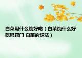 白菜用什么炖好吃（白菜炖什么好吃吗窍门 白菜的炖法）