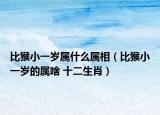 比猴小一岁属什么属相（比猴小一岁的属啥 十二生肖）