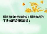 柑橘可以套塑料袋吗（柑橘套袋的手法 如何给柑橘套袋）