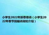 小学生2022年新春寄语（小学生2022年春节祝福语简短介绍）