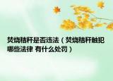 焚烧秸秆是否违法（焚烧秸秆触犯哪些法律 有什么处罚）