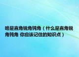 啥是直角锐角钝角（什么是直角锐角钝角 你应该记住的知识点）