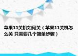 苹果11关机如何关（苹果11关机怎么关 只需要几个简单步骤）