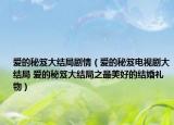 爱的秘笈大结局剧情（爱的秘笈电视剧大结局 爱的秘笈大结局之最美好的结婚礼物）