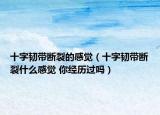 十字韧带断裂的感觉（十字韧带断裂什么感觉 你经历过吗）