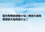 因为有奇迹剧情介绍（奇迹大结局 奇迹的大结局是什么）