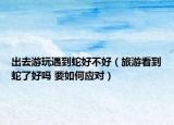 出去游玩遇到蛇好不好（旅游看到蛇了好吗 要如何应对）