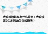 大众凌渡这车有什么缺点（大众凌渡2019款缺点 你知道吗）