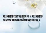 蛙泳腿部动作完整阶段（蛙泳腿部慢动作 蛙泳腿部动作详细分解）