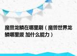 魔兽龙鳞在哪里刷（魔兽世界龙鳞哪里拔 加什么能力）