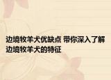 边境牧羊犬优缺点 带你深入了解边境牧羊犬的特征