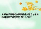 古时的栎阳是现在陕西的什么地方（临潼栎阳镇卷子村的来历 有什么历史）