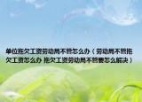 单位拖欠工资劳动局不管怎么办（劳动局不管拖欠工资怎么办 拖欠工资劳动局不管要怎么解决）