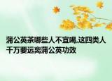 蒲公英茶哪些人不宜喝,这四类人千万要远离蒲公英功效