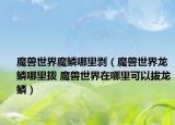 魔兽世界魔鳞哪里剥（魔兽世界龙鳞哪里拨 魔兽世界在哪里可以拔龙鳞）