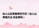 仙人山在家里养好不好（仙人山养殖方法 你会养吗）