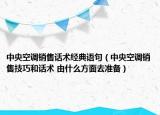 中央空调销售话术经典语句（中央空调销售技巧和话术 由什么方面去准备）