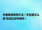 羊痘疫苗使用方法（羊豆苗怎么用 你试过这样做吗）