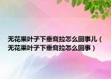 无花果叶子下垂耷拉怎么回事儿（无花果叶子下垂耷拉怎么回事）