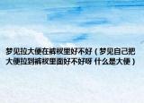 梦见拉大便在裤衩里好不好（梦见自己把大便拉到裤衩里面好不好呀 什么是大便）