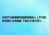 米嘉严川是哪部电视剧里面的人（严川和米佳是什么电视剧 下面为大家介绍）